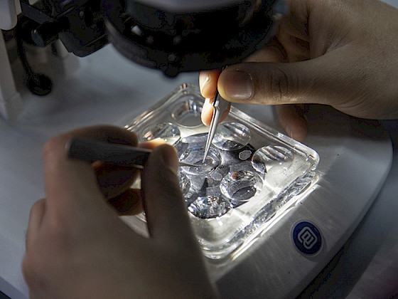 Laboratorio UC