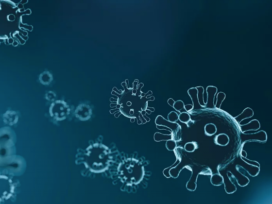 imagen de coronavirus