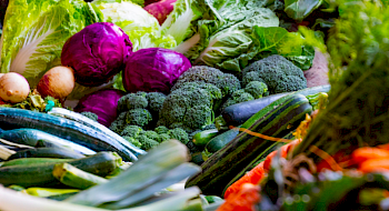 Imagen de verduras