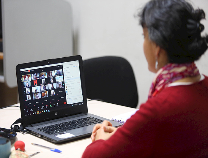 imagen correspondiente a la noticia: "Más de 10 mil personas participan del ciclo de webinars de Villarrica"