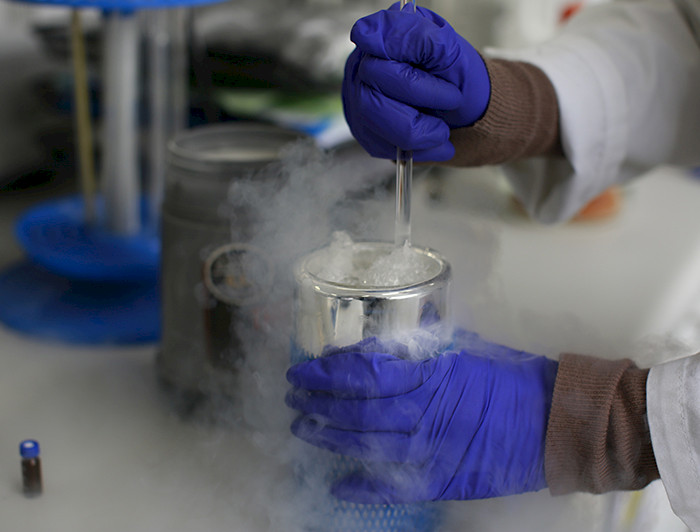 imagen correspondiente a la noticia: "Rector y presupuesto para Ciencia 2021: nulo apoyo a las universidades"