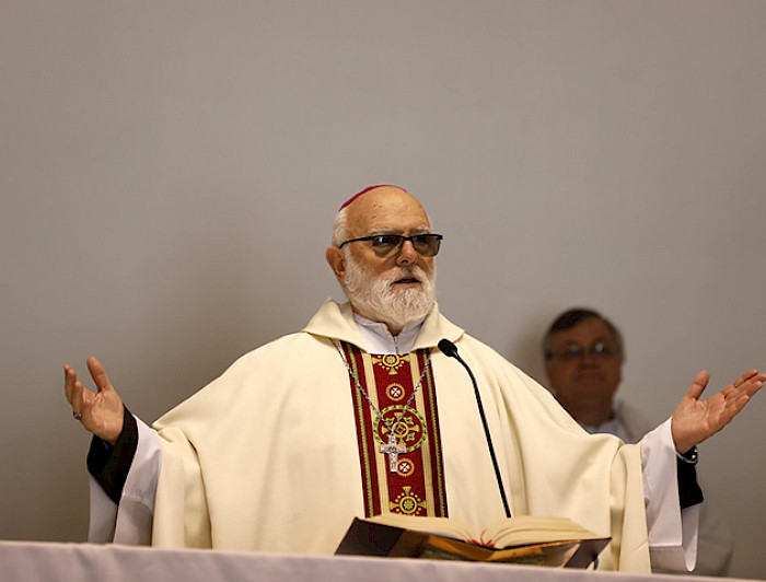 imagen correspondiente a la noticia: "El Papa Francisco anunció que Celestino Aós será cardenal"