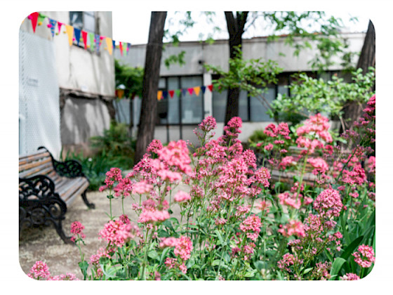 Jardín de flores rosadas