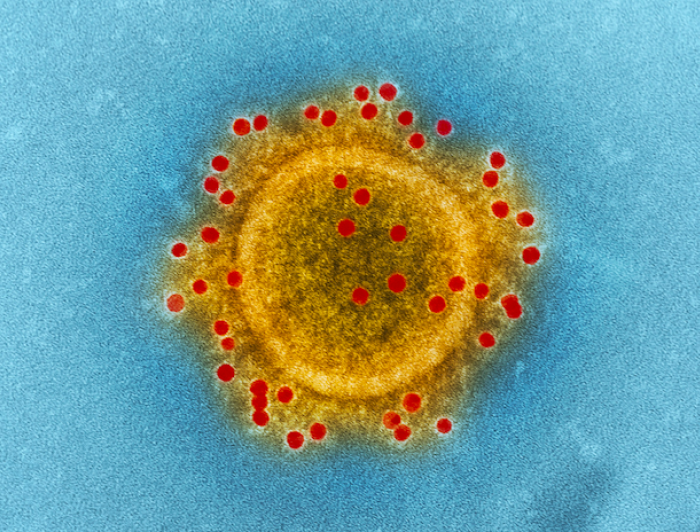 imagen de virus