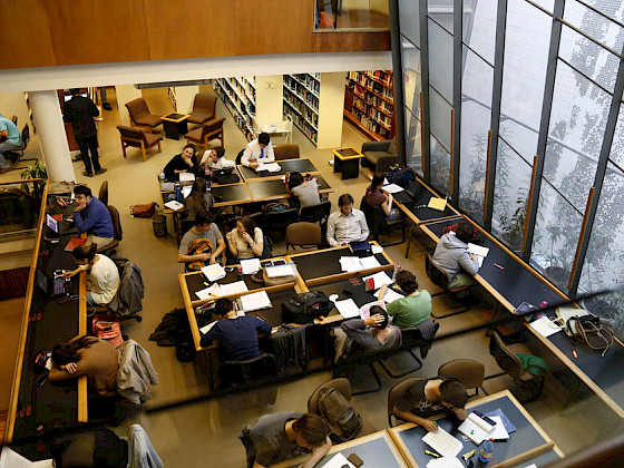 Alumnos estudiando en biblioteca. Foto Dirección de Comunicaciones.