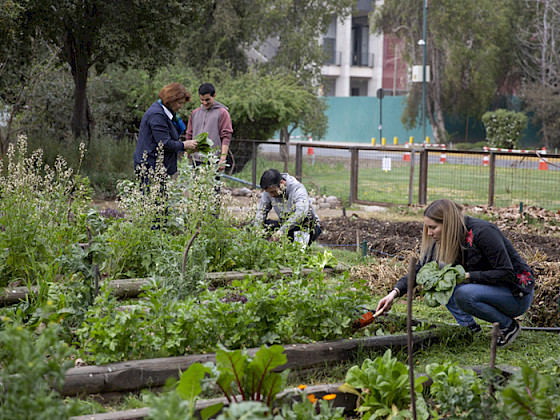 Foto donde se ven personas de la universidad trabajando en el Huerto San Francisco