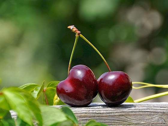 Par de cerezas