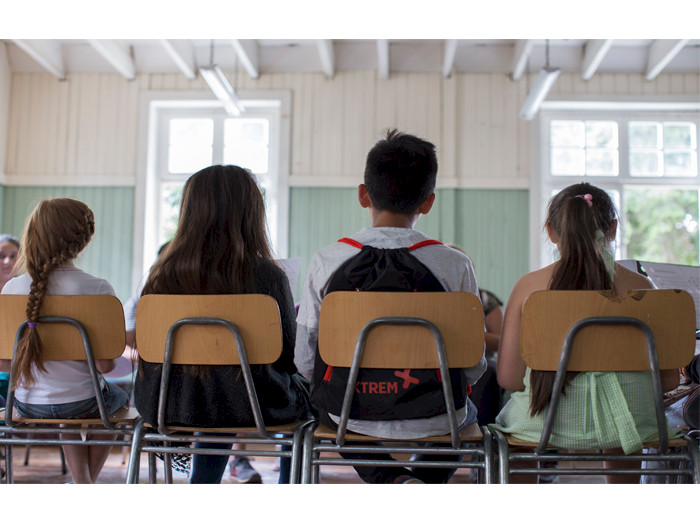 Niños y niñas sentados en sillas de colegios y vistos desde la espalda.
