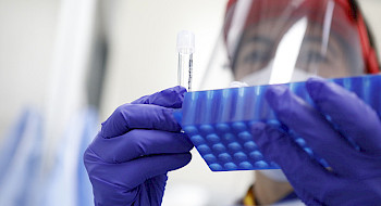 Científico con escudo facial y guates azules manipulando tubos de ensayo.