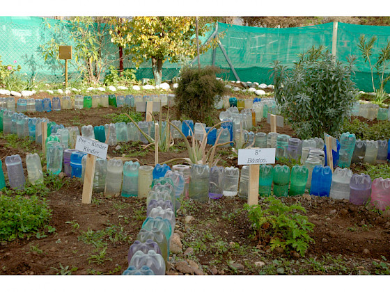 Sistema de riego con botellas de plástico en un jardín con plantas y árboles.
