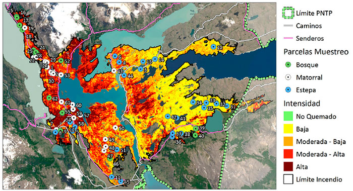 Mapa de severidades para el último mega-incendio ocurrido en 2011-2012 en Torres del Paine, mostrando la distribución de las unidades de muestreo para el registro de plantas vasculares en sitios afectados por diferentes severidades de incendio. Los puntos, además, son clasificados de acuerdo a la vegetación predominante pre-incendio (e.g. estepa, matorral, bosque). (Fuente: Osvaldo Vidal, académico Universidad de Magallanes)