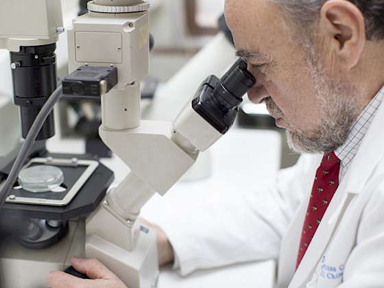 Académico Nibaldo Inestrosa en su laboratorio.- Foto Karina Fuenzalida