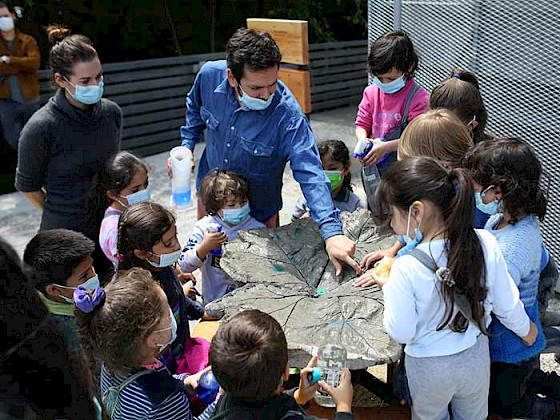 grupo de niños observando material educativo