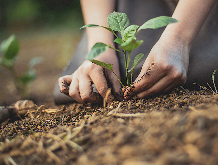 imagen correspondiente a la noticia: "Por un futuro sostenible y biodiverso"