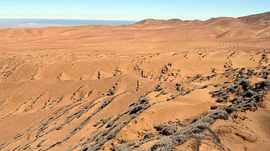 Arid hills in the desert