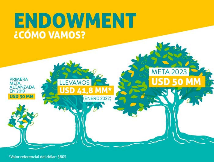 imagen correspondiente a la noticia: "Las cifras de 2021 del Endowment"