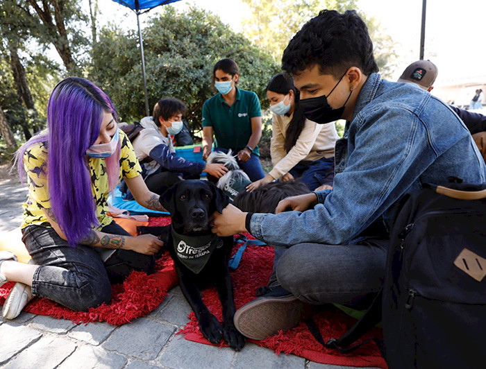 imagen correspondiente a la noticia: "Implementan "Zona Libre de Ansiedad y Estrés" en campus UC en Santiago"