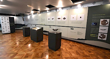 Exhibición de piezas dentro de vitrinas,en una sala con suelo de madera.