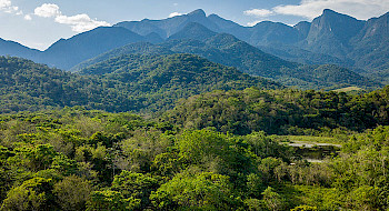 Paisaje de montañas y bosque