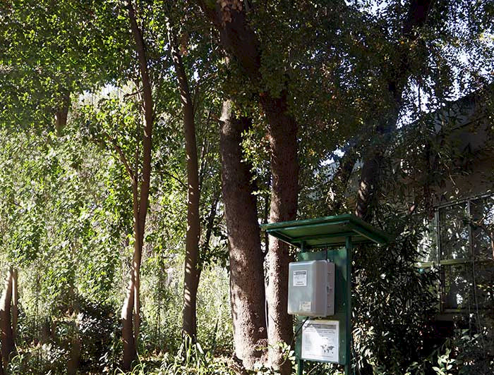 Sensor que mide señales eléctricas junto a un quillay en Campus San Joaquín UC.