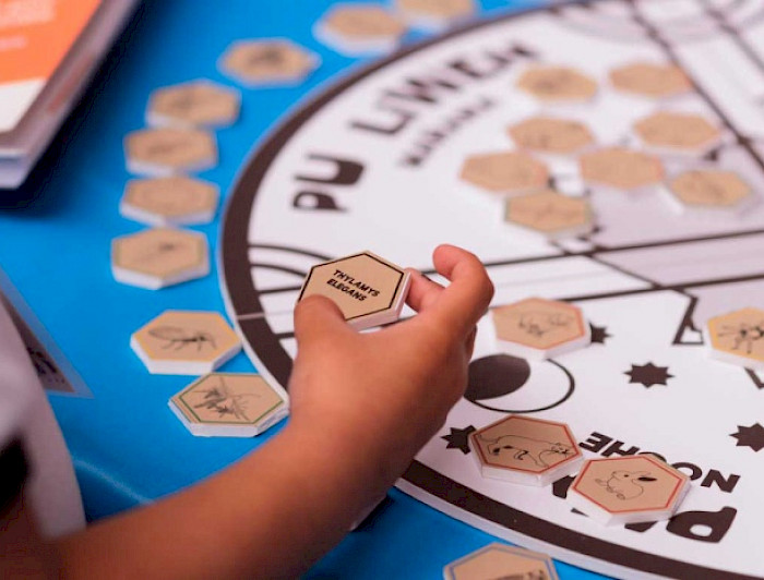 Niño manipulando juego educativo con fichas