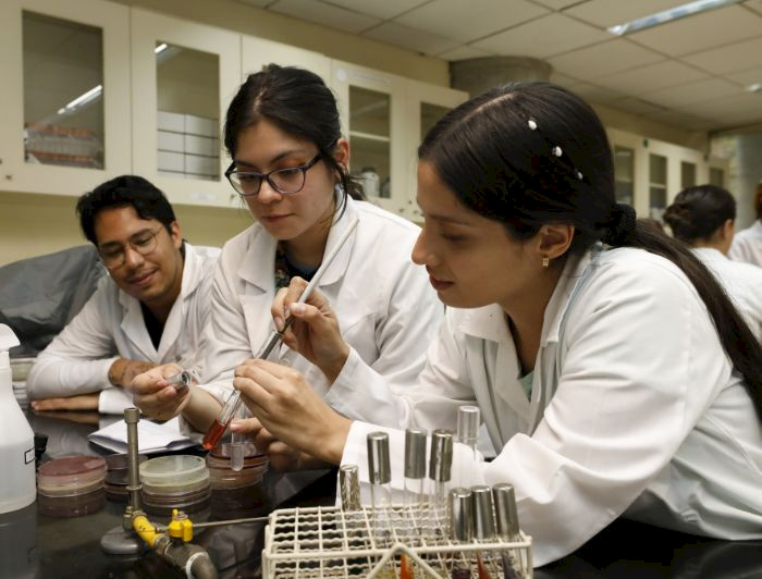 imagen correspondiente a la noticia: "UC entrega recomendaciones para fomentar una cultura académica corresponsable"