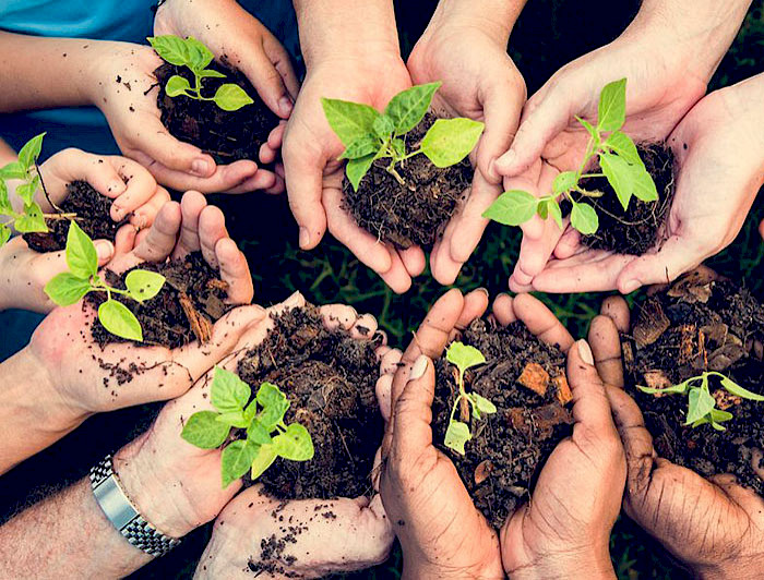 imagen correspondiente a la noticia: "UC Chile joined the International Sustainable Campus Network"