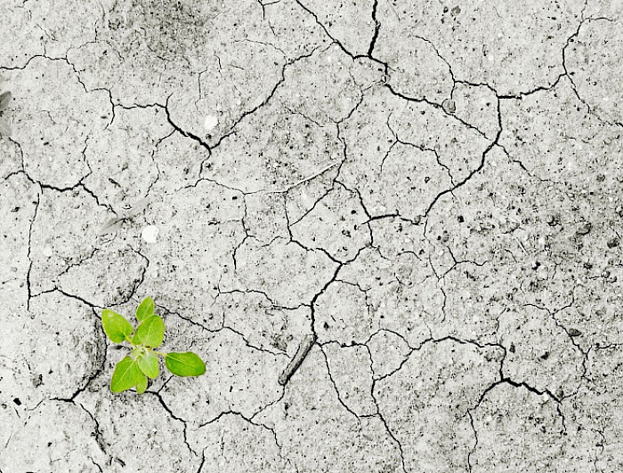 imagen correspondiente a la noticia: "Relevancia normativa y nuevos modelos de gestión de aguas frente al cambio climático"