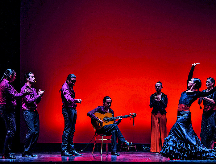 imagen correspondiente a la noticia: "VISION INFORMA: El neoflamenco traerá de vuelta la danza a Artifica la UC"