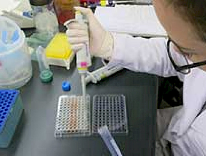 imagen correspondiente a la noticia: "Dra. Susan Bueno desarrolla tests para diagnosticar infecciones respiratorias en forma inmediata"
