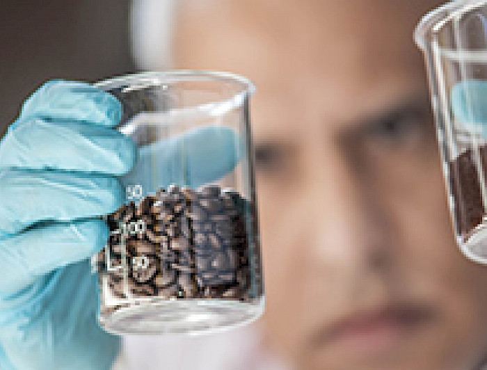 imagen correspondiente a la noticia: "Investigadores de Ingeniería UC medirán químico potencialmente cancerígeno presente en el café"