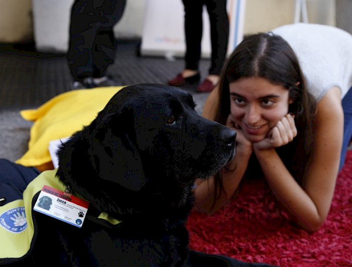 Perrita Zucca, interactuando con estudiantes.