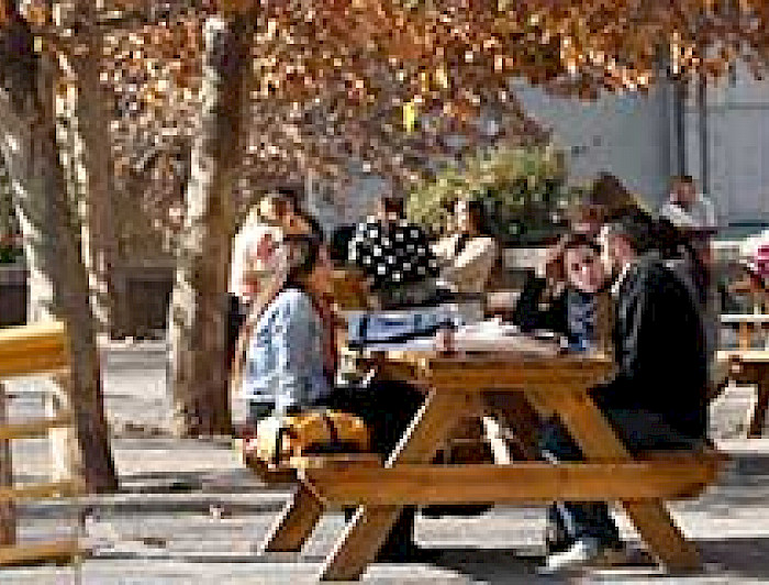 imagen correspondiente a la noticia: "UC es la mejor universidad de América Latina"