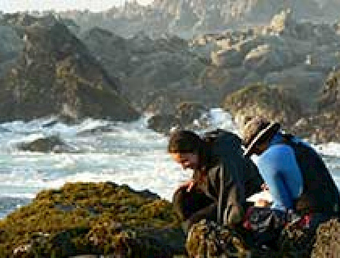 imagen correspondiente a la noticia: "Núcleo Milenio de conservación marina logra importantes avances en la protección de los ecosistemas"