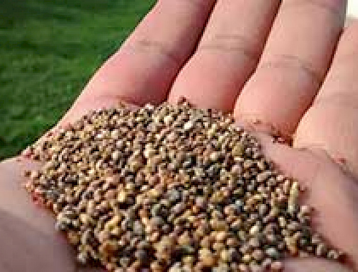 imagen correspondiente a la noticia: "Desde el 2018 se impartirá el nuevo Doctorado en Biotecnología Vegetal"