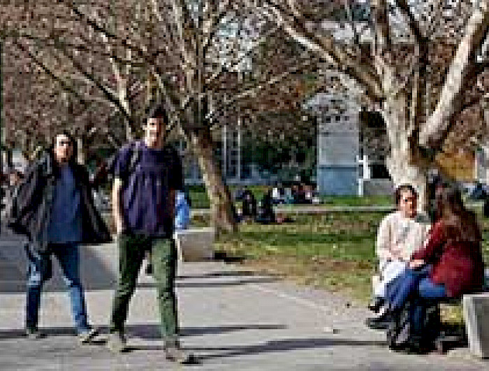 imagen correspondiente a la noticia: "Rector y reforma a la Educación Superior: Un proyecto que no cambia"