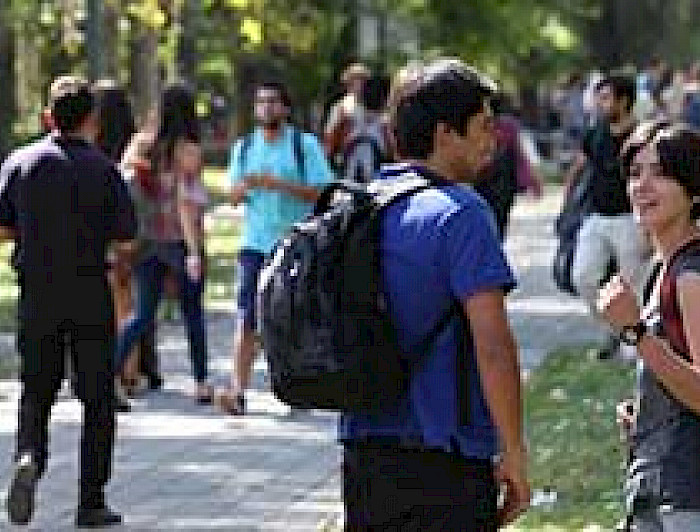 imagen correspondiente a la noticia: "Expertos UC se refieren a la Encuesta de Calidad de Vida del Ministerio de Salud"