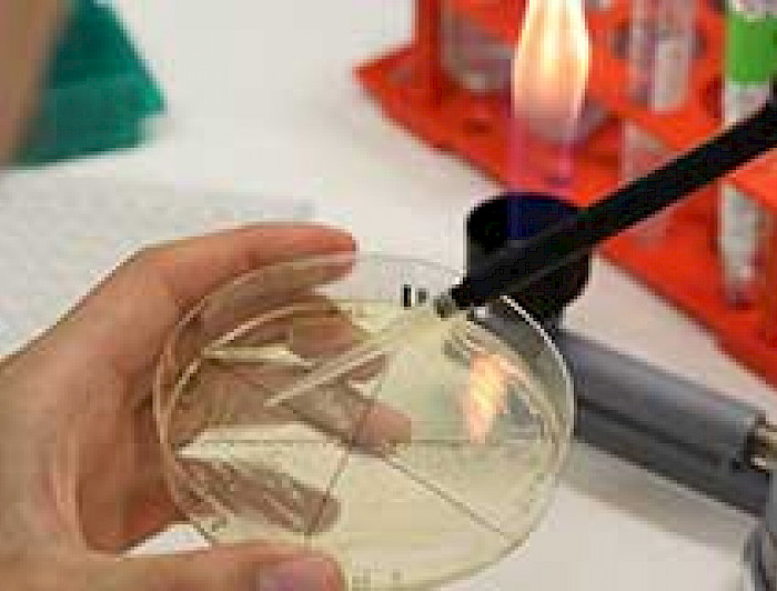 imagen correspondiente a la noticia: "Universidad Católica proyecta el desarrollo de la ciencia y la tecnología para resolver problemas reales de la sociedad"