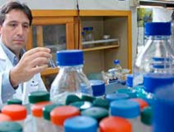 imagen correspondiente a la noticia: "Comité ético aprobó realizar pruebas en humanos de vacuna contra virus sincicial"