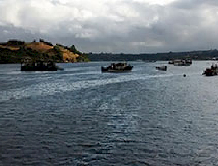 imagen correspondiente a la noticia: "Científicos UC manifiestan preocupación por marea roja en el sur de Chile"