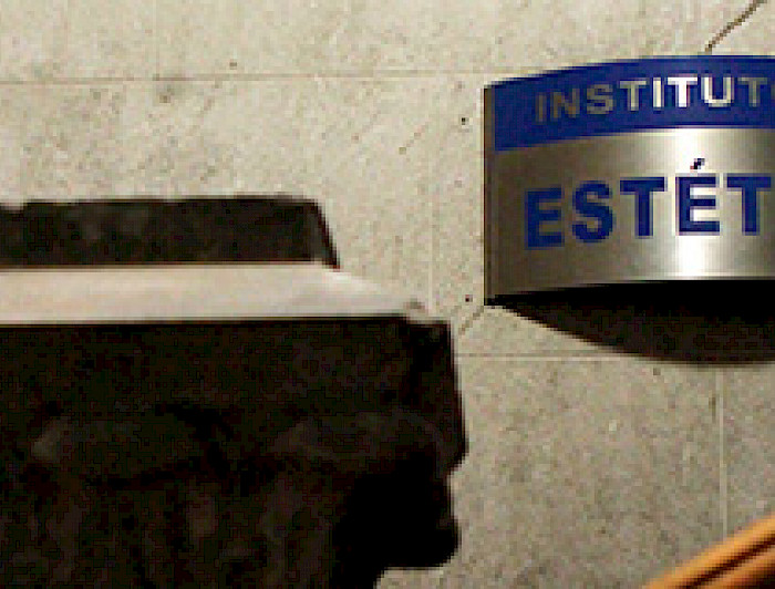 imagen correspondiente a la noticia: "Instituto de Estética ofrece diplomado de gestión cultural en regiones"